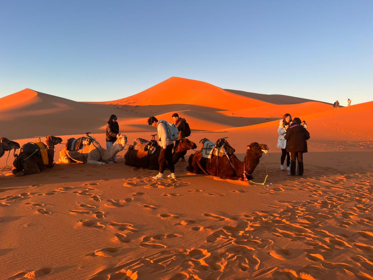 Traditional dinner in desert